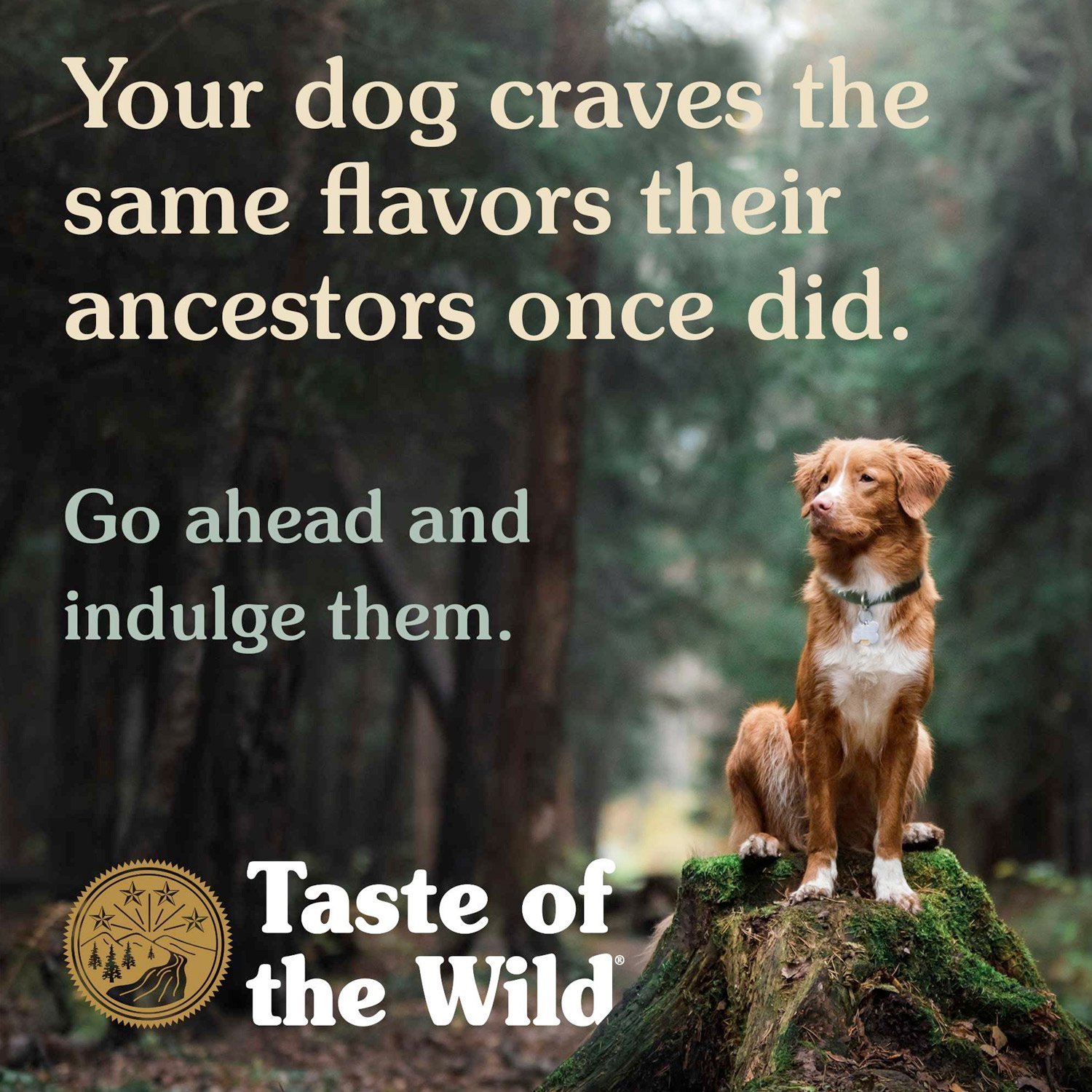 Taste of the Wild Pacific Stream Canine Recipe - Image 2
